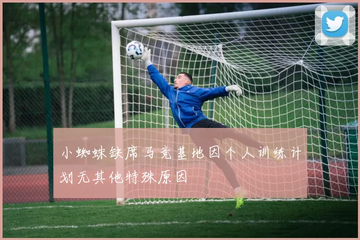 小蜘蛛缺席马竞基地因个人训练计划无其他特殊原因