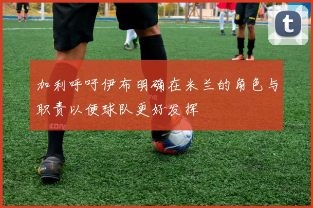 加利呼吁伊布明确在米兰的角色与职责以便球队更好发挥